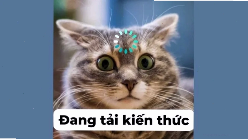 Bạn trẻ tiếp thu meme kiến thức này đã được tiếp thu của bạn trẻ