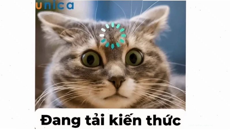 Nhân vật hoạt hình meme kiến thức này đã được tiếp thu của nhân vật hoạt hình