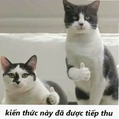Tự hào tiếp thu meme kiến thức này đã được tiếp thu đầy tự hào