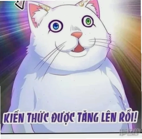 Thành công rực rỡ meme kiến thức này đã được tiếp thu khi thành công