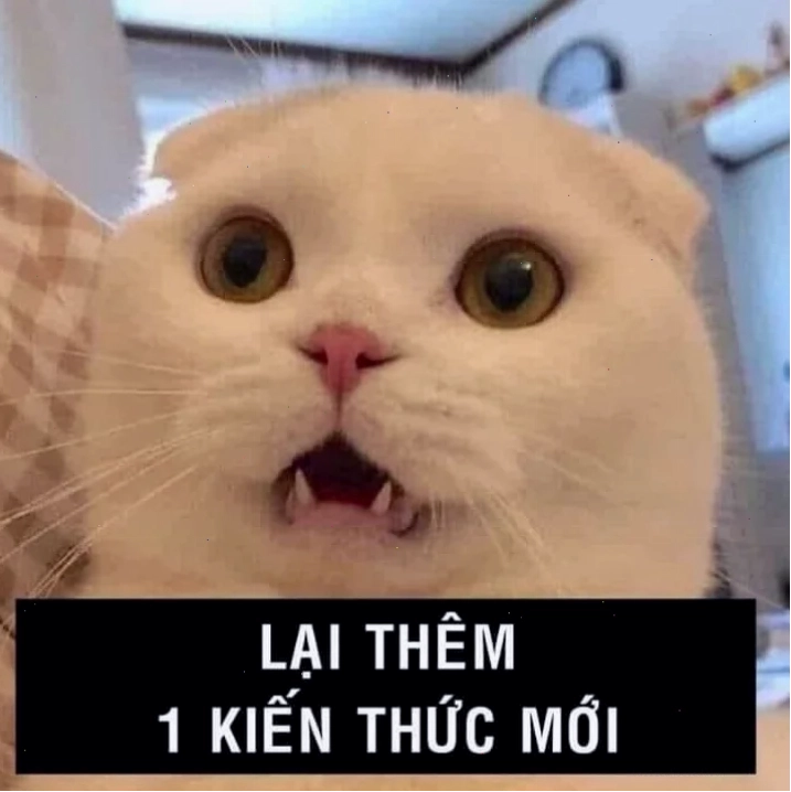 Bất lực vì hiểu meme kiến thức này đã được tiếp thu kiểu bất lực