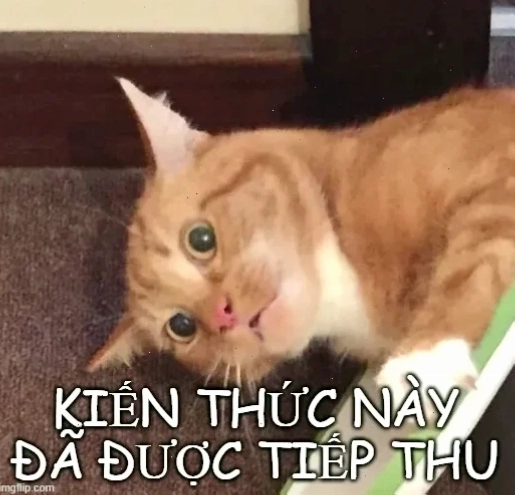 Meme siêu hài meme kiến thức này đã được tiếp thu siêu hài