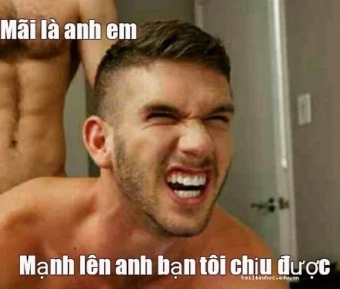 meme mãi là anh em meme mãi là anh em