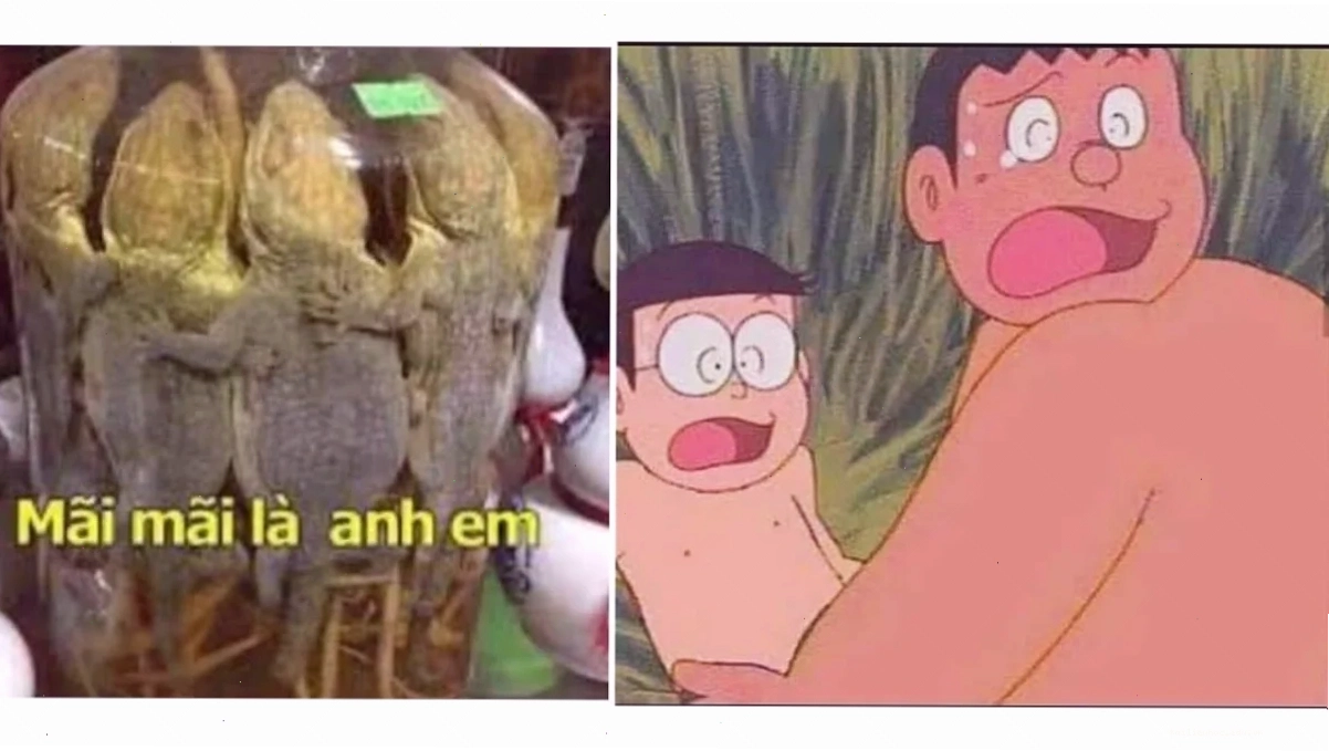 meme mãi là anh em meme mãi là anh em