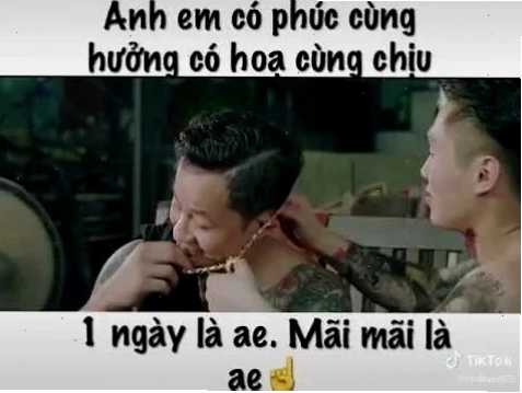 meme mãi là anh em meme mãi là anh em
