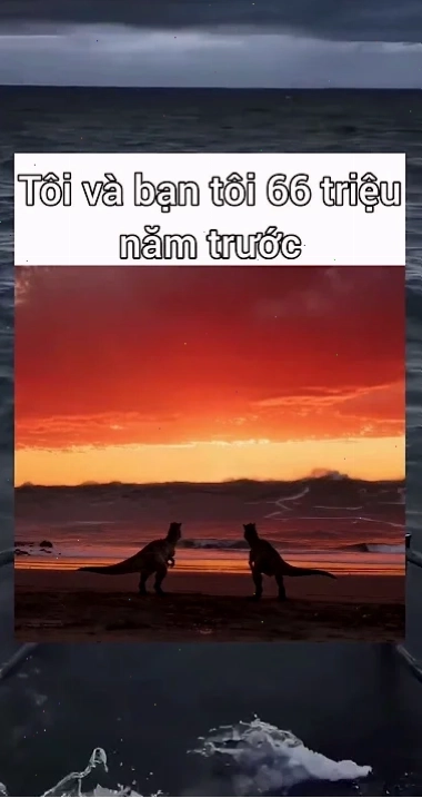 meme mãi là anh em meme mãi là anh em