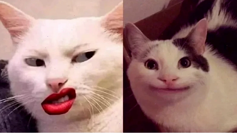 meme mặt bựa meme mặt bựa chad
