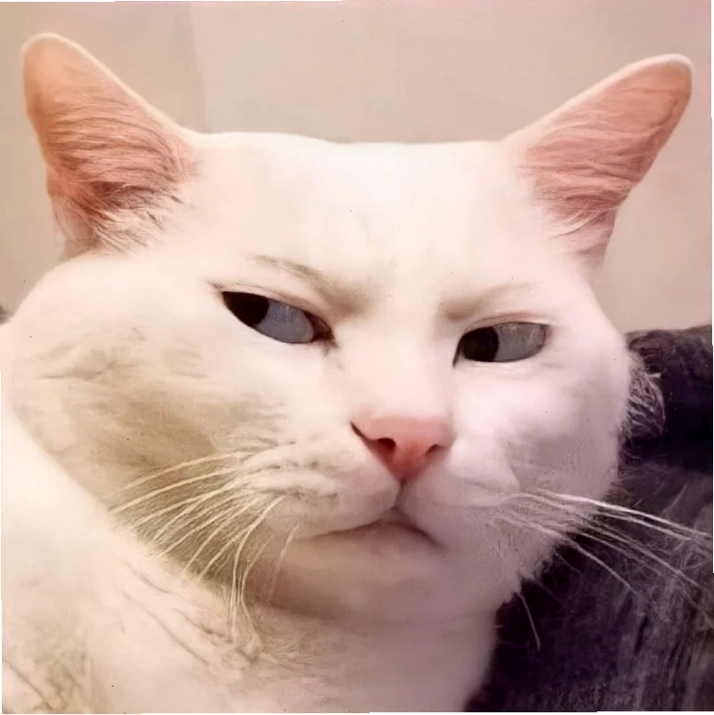 meme mặt bựa meme mặt bựa lầy lội