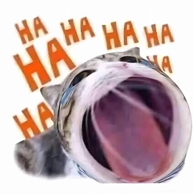 meme mặt bựa meme mặt bựa ngố