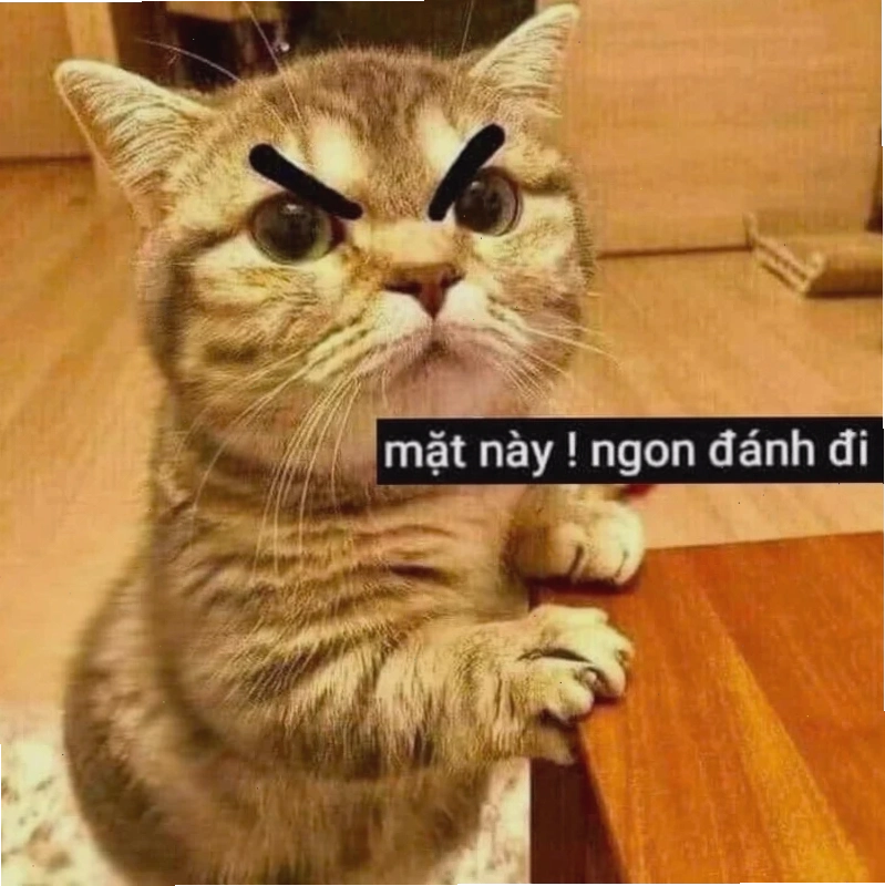 meme mặt bựa meme mặt bựa ngơ ngác