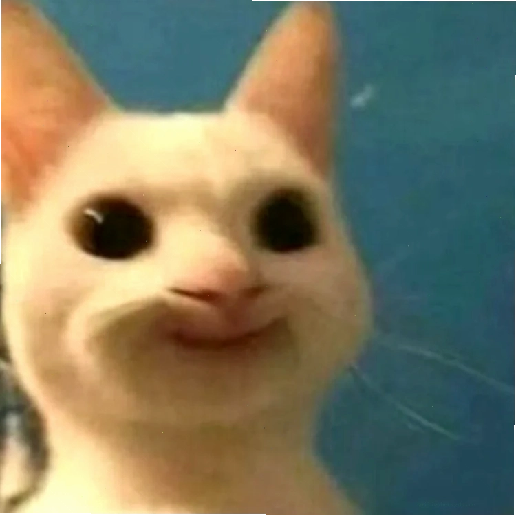 meme mặt bựa meme mặt bựa nhân vật hoạt hình