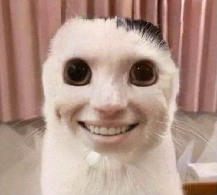meme mặt bựa meme mặt bựa phong cách vẽ tối giản