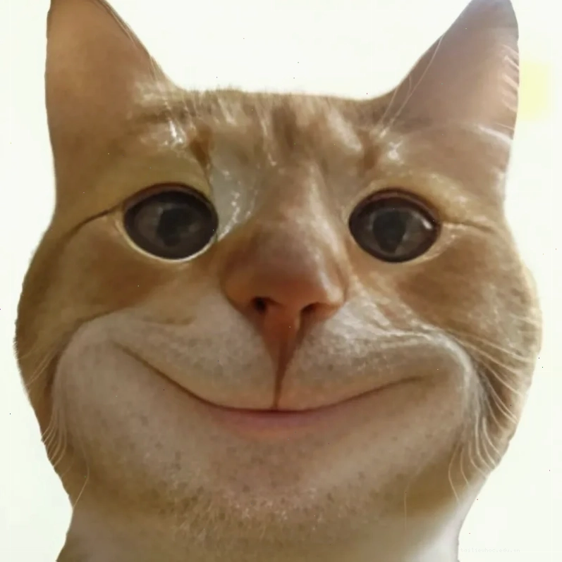 meme mặt bựa meme mặt bựa thầy ông nội