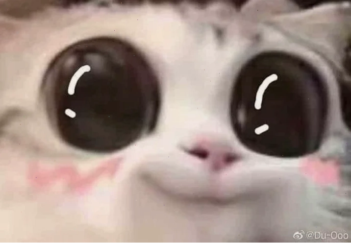 Chibi đáng yêu meme mắt long lanh anime chibi
