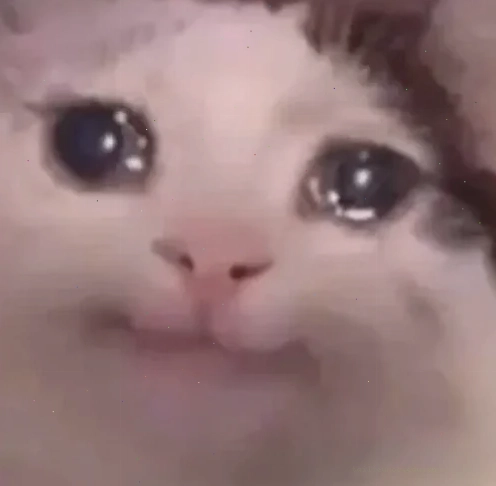 Ánh mắt cầu xin tha thứ meme mắt long lanh cầu xin