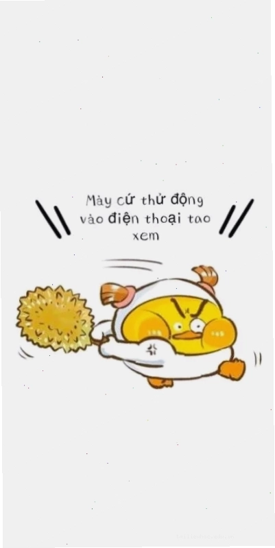 Meme meme chất làm hình nền hài bựa