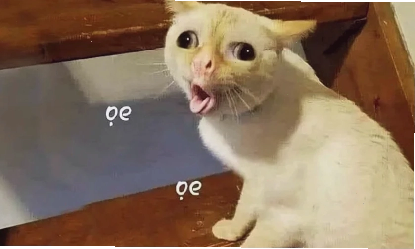 Meme meme độc lạ làm hình nền hài bựa
