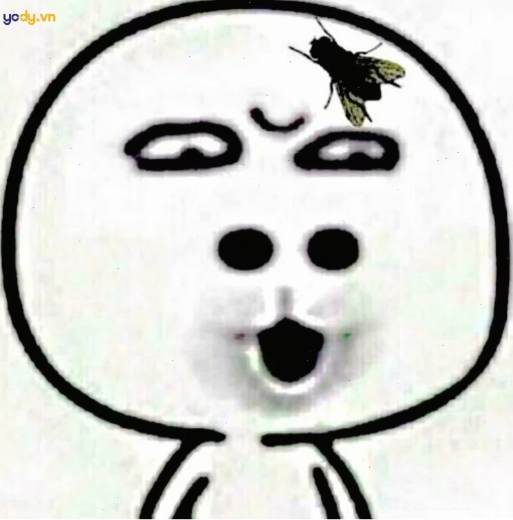 Meme meme hài hước làm hình nền hài bựa