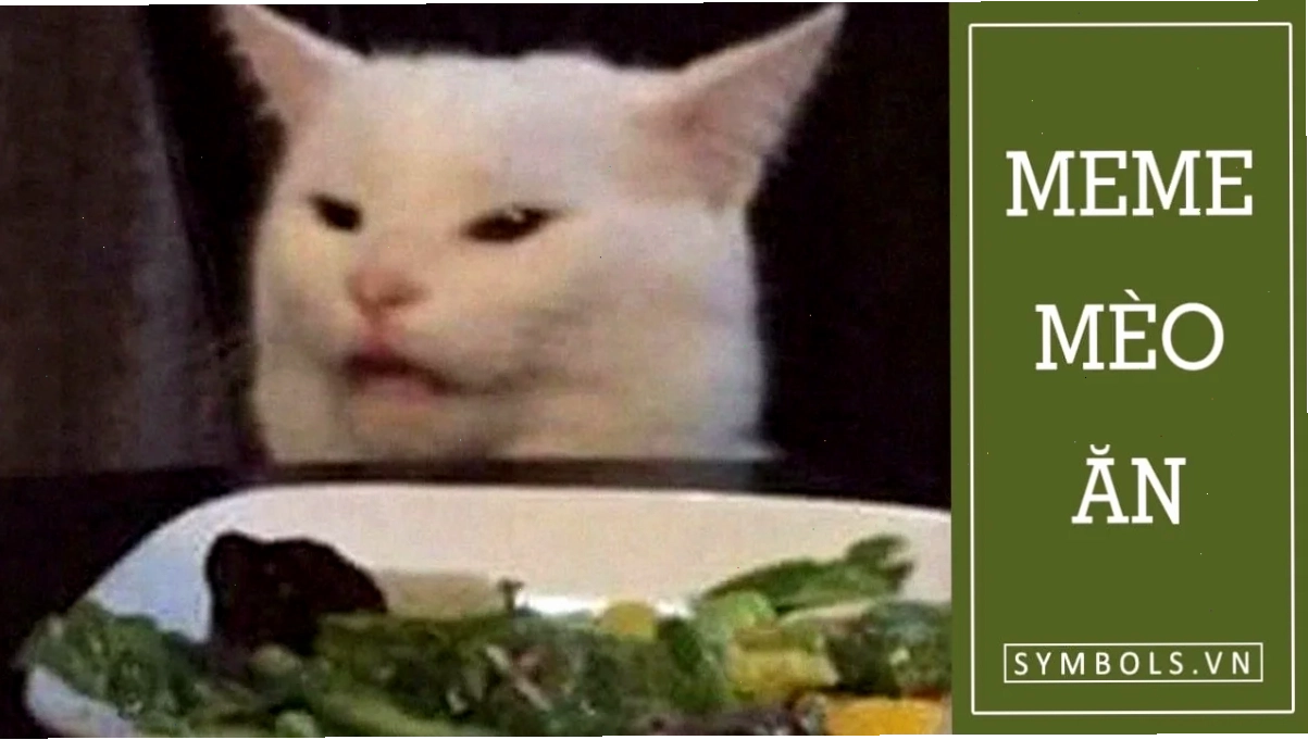 mèo từ chối ăn rau meme mèo ăn rau và quay đi chỗ khác