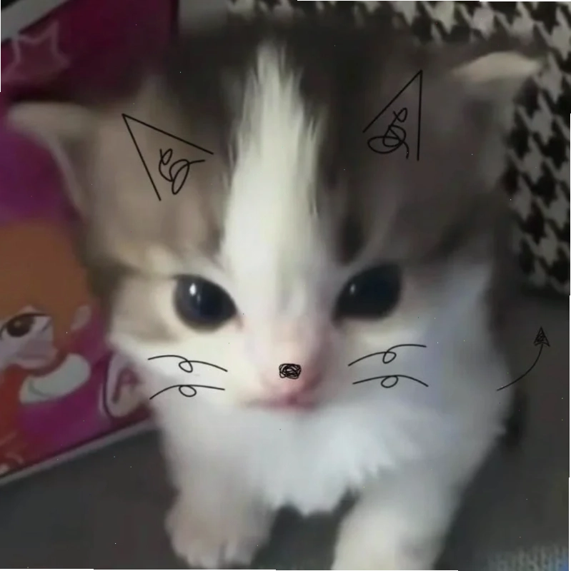 meme mèo bất lực đứng trong góc