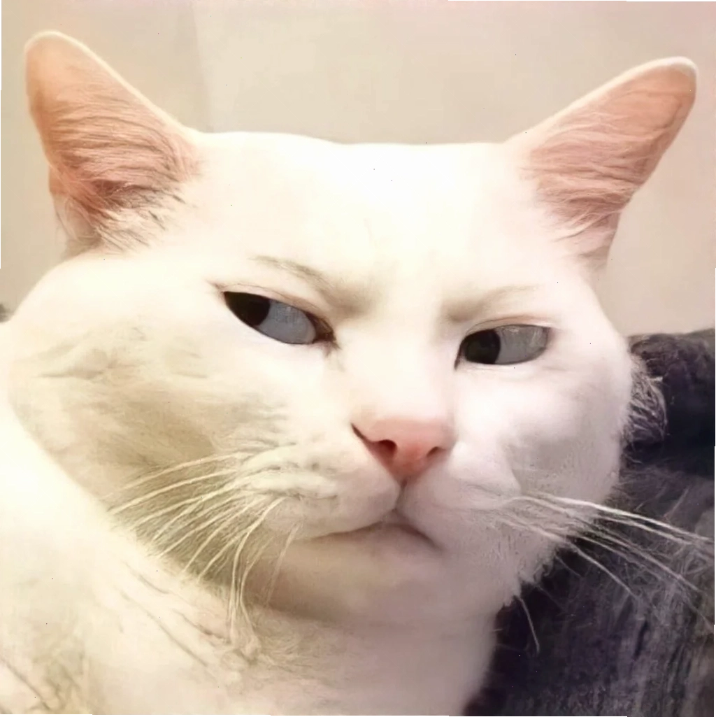 meme mèo bất lực gục đầu