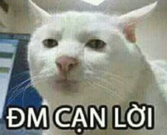 meme mèo bất lực nhăn mặt