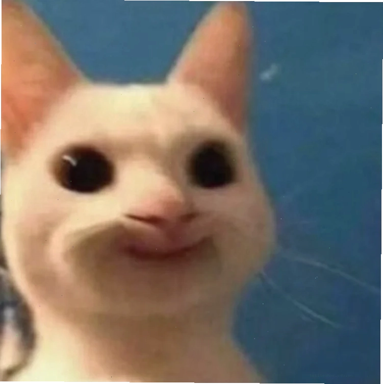 meme mèo bựa meme mèo bựa
