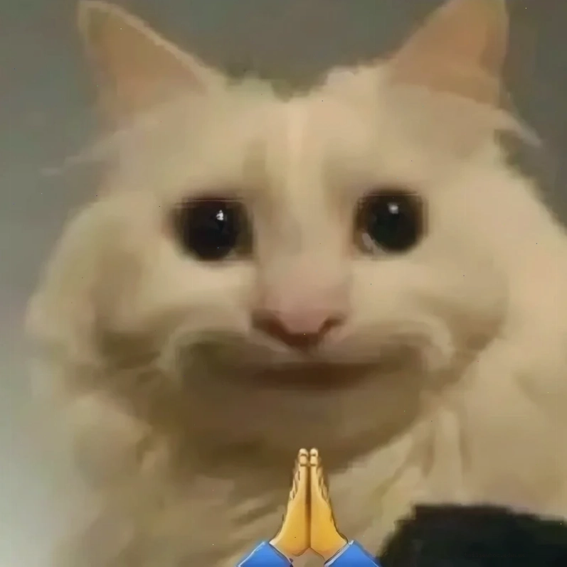 meme mèo bựa meme mèo bựa