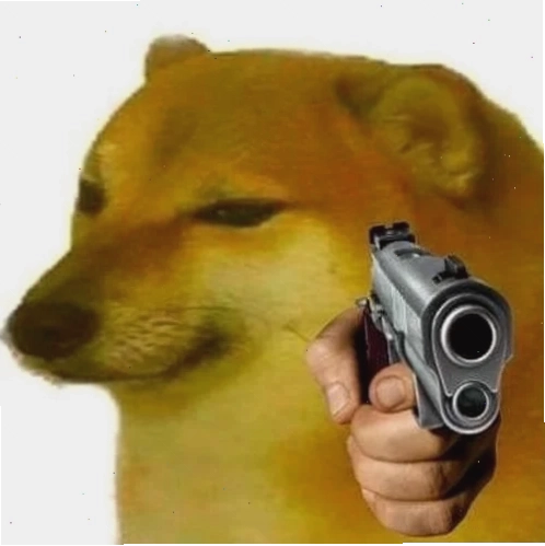 Mèo bựa meme mèo bựa lỳ lợm