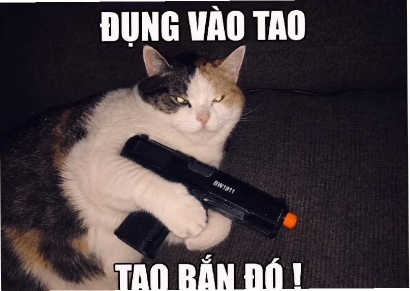 Sniper mèo meme mèo cầm sniper