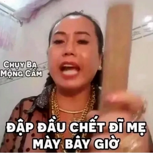 Mèo chế hài meme mèo chửi tục dễ thương