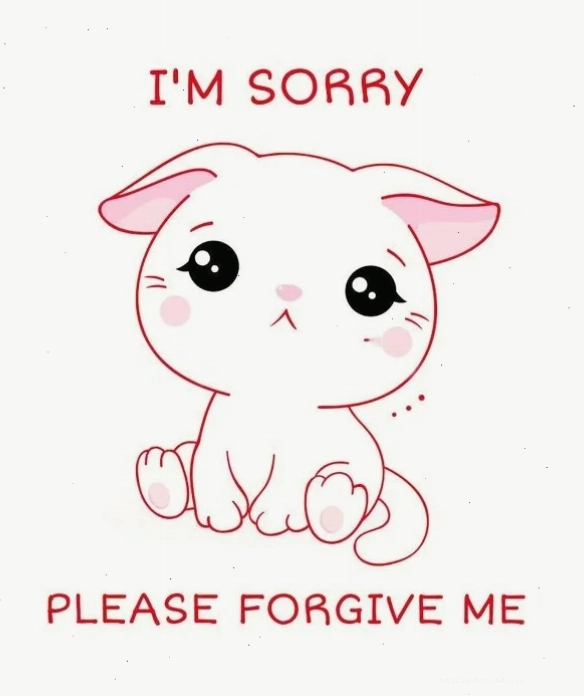 Meme mèo cúi đầu xin lỗi cực kỳ đáng yêu