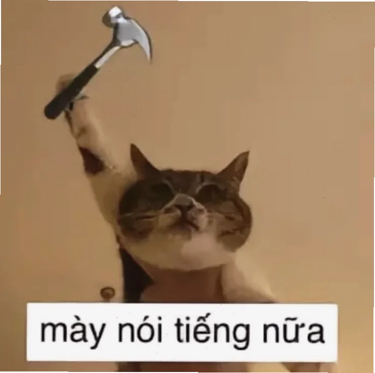meme mèo đấm nhau meme mèo đấm nhau kề dao