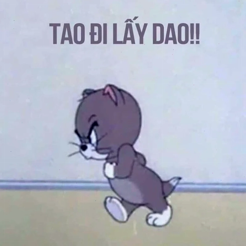 meme mèo đánh lộn meme mèo đánh lộn bá đạo