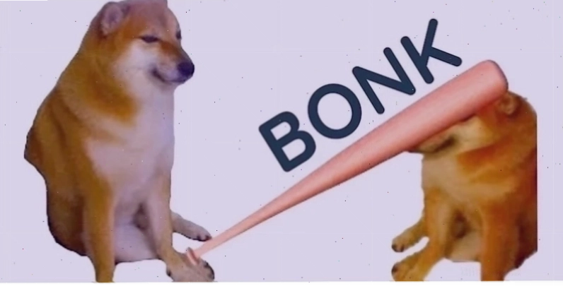 meme mèo đánh lộn meme mèo đánh lộn kề dao