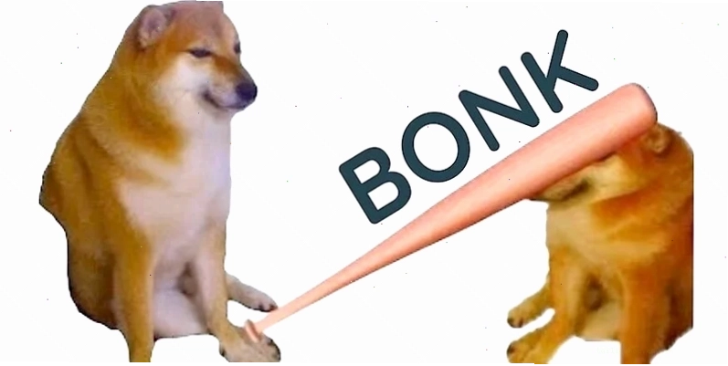 meme mèo đánh lộn meme mèo đánh lộn kề dao
