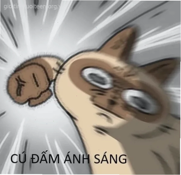 meme mèo đánh lộn meme mèo đánh lộn phong cách hoạt hình