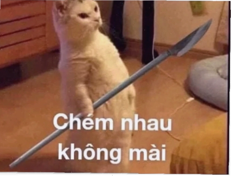 meme mèo đánh lộn meme mèo đánh lộn tư thế chiến