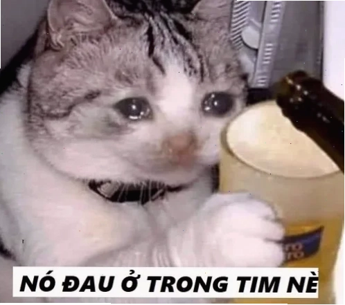 meme mèo đau ở đây này biểu cảm