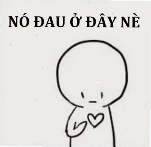 meme mèo đau ở đây này chân dung