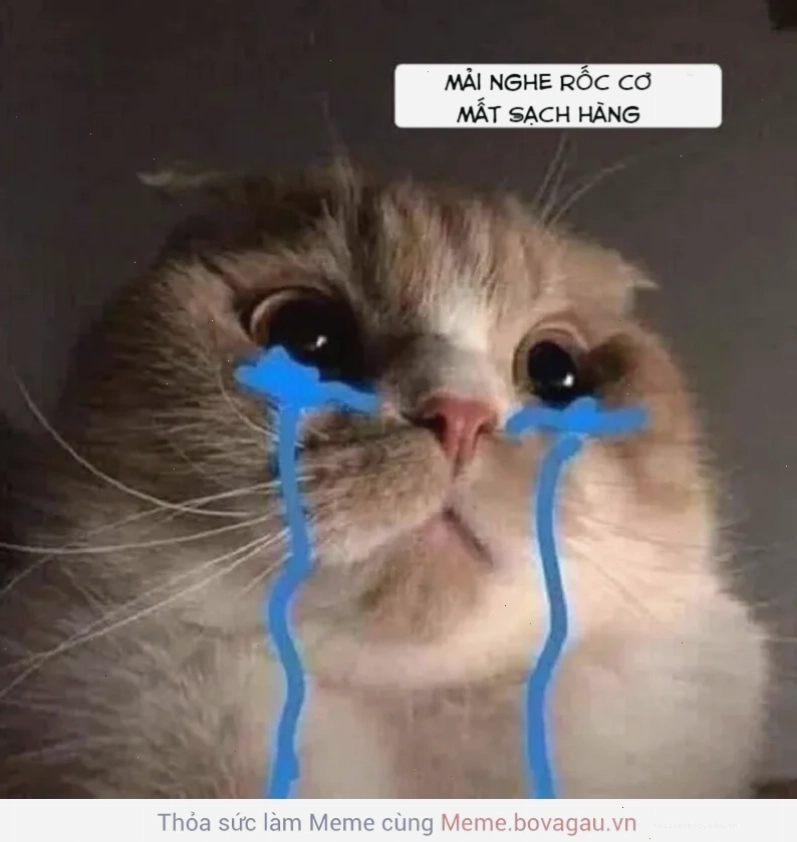 meme mèo đau ở đây này di sản