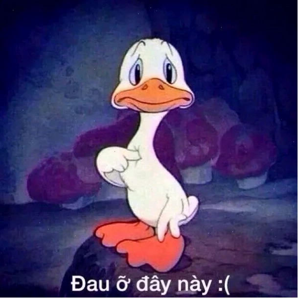 meme mèo đau ở đây này gắn liền với cuộc sống