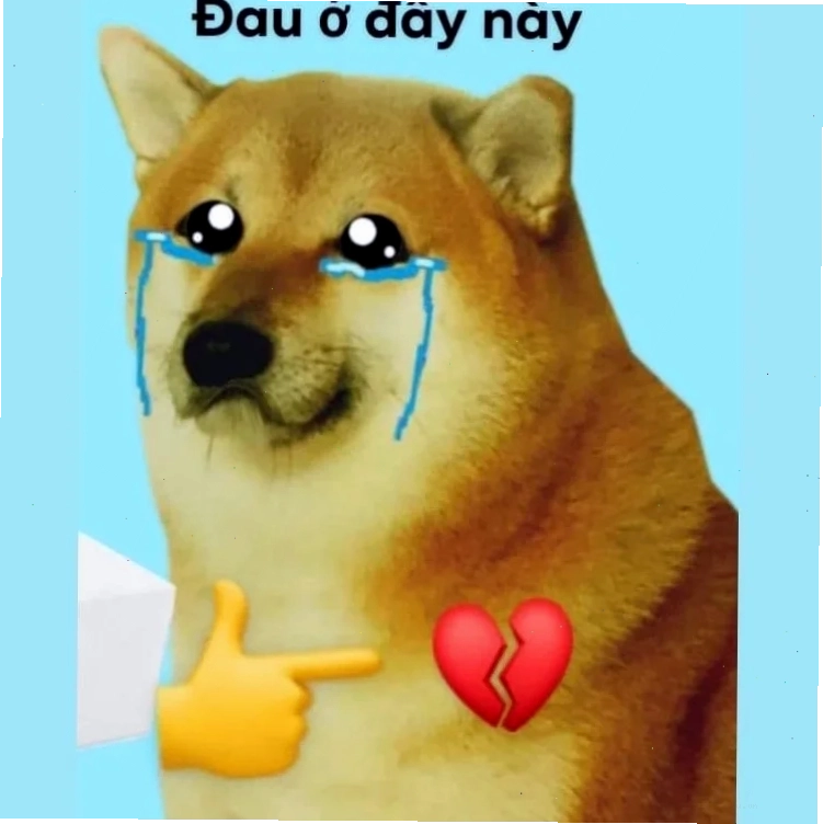 meme mèo đau ở đây này ghi dấu ấn thời gian