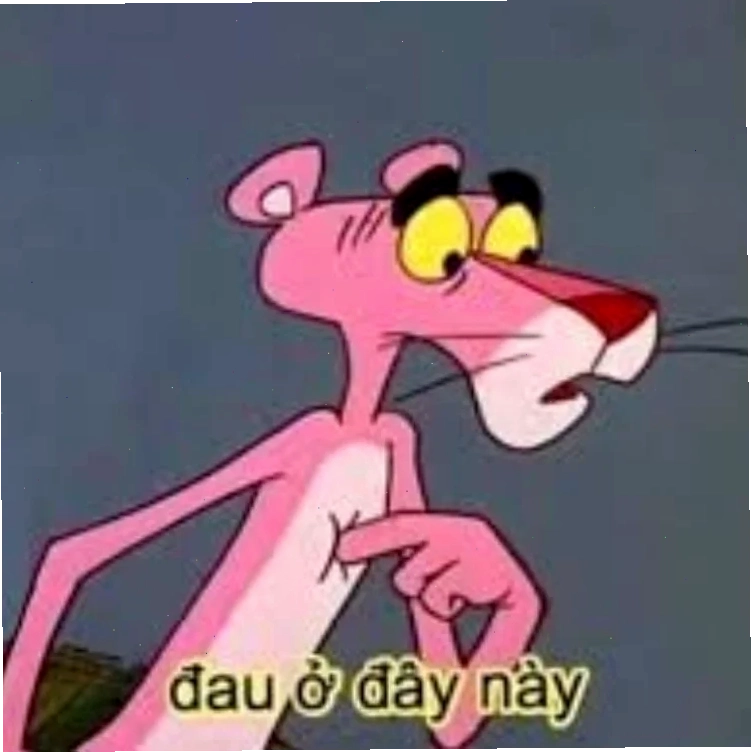 meme mèo đau ở đây này trong ký ức