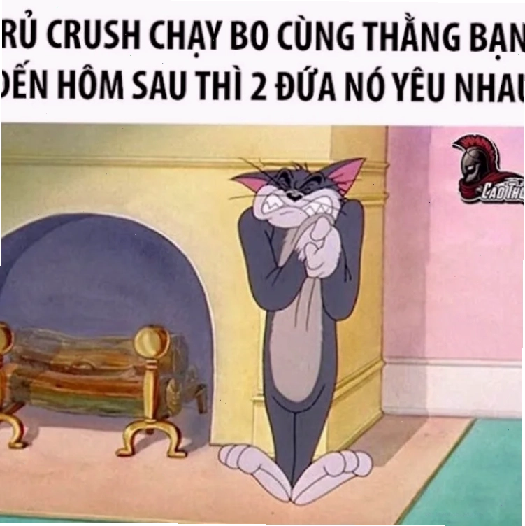 meme mèo đau ở đây này từ góc nhìn chủ nhân