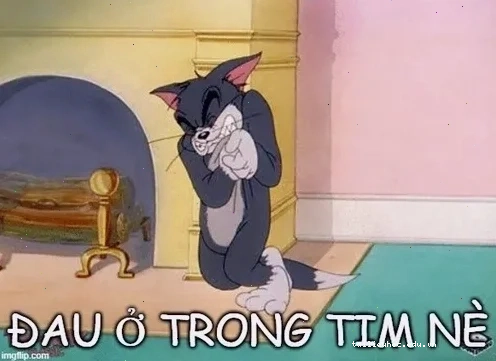 meme mèo đau ở đây này và cuộc sống của Leo