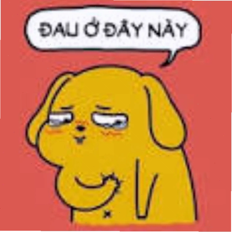 meme mèo đau ở đây này và sự ra đi của Leo