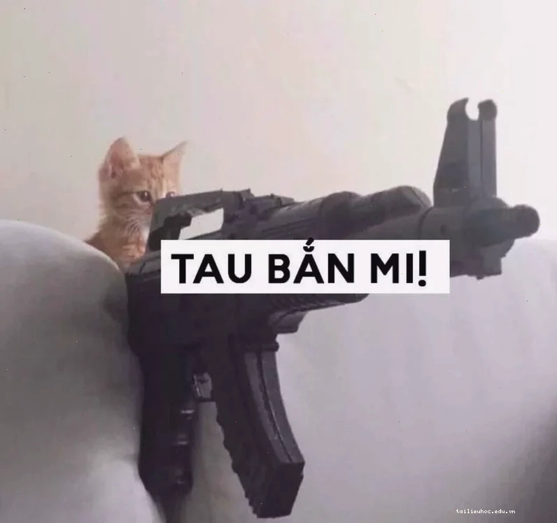 Mèo đe dọa meme mèo đe dọa đáng yêu