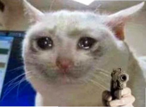 Mèo dữ meme mèo dữ dội