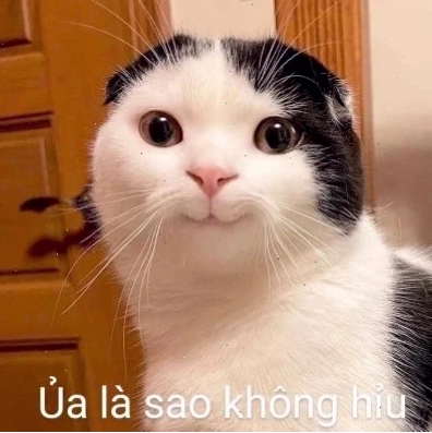 Mèo suy tư meme mèo hạnh phúc nhìn xa xăm